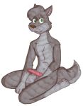  animal_genitalia animal_penis canid canine canine_genitalia canine_penis canis erection fur genitals grey_body grey_fur male mammal penis sitting tabbiewolf wolf 