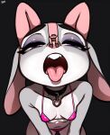  anthro bikini breasts clothed clothing collar disney doxy eyebrows eyelashes fake_ears female fur grey_background grey_body grey_fur judy_hopps lagomorph leporid long_ears mammal narrowed_eyes navel nose_hook open_mouth purple_eyes rabbit signature simple_background small_breasts solo swimwear teeth tongue tongue_out zootopia 