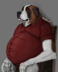  absurd_res anthro belly bloated brown_eyes canid canine canis clothed clothing domestic_dog hi_res male mammal molosser mountain_dog musclegut overweight overweight_anthro overweight_male painting_(artwork) saint_bernard sheppyduke shirt sitting solo topwear traditional_media_(artwork) 