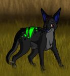  2011 ambiguous_gender black_body black_fur blue_inner_ear_fluff blue_nose bluekyokitty canid canine canis detailed_background digital_drawing_(artwork) digital_media_(artwork) digitigrade eyebrows feral full-length_portrait fur grass green_body green_fur grey_body grey_fur head_tuft inner_ear_fluff jackal low_res mammal outside paws plant portrait red_eyes sebdoggo shaded solo standing tail tuft 