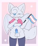  absurd_res anonymous_artist bat breasts dust:_an_elysian_tail flag genitals hi_res holding_flag holding_object intersex intersex/male lgbt_pride male mammal nimbat penis pride_colors solo trans_(lore) transgender_pride_colors 