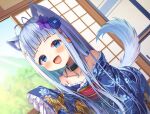  absurdres animal_ears asa_no_ha_(awayuki) blue_eyes blue_hair blue_kimono collar collarbone highres japanese_clothes kimono long_hair non-web_source tail 