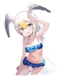  1girl alternate_costume bald_eagle_(kemono_friends) bare_arms bare_shoulders bikini bird bird_girl bird_tail bird_wings blonde_hair blue_bikini blush cowboy_shot eagle extra_ears frilled_bikini frills grey_hair hair_between_eyes head_wings highres ieinu_account kemono_friends long_hair midriff multicolored_hair navel open_mouth smile solo spaghetti_strap swimsuit tail two-tone_bikini white_bikini white_hair wings yellow_eyes 