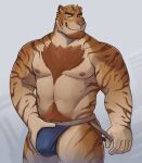  2023 abs anthro bedroom_eyes biceps blue_clothing blue_jockstrap blue_underwear body_hair bulge chest_hair clothed clothing deltoids detailed_bulge facial_hair felid genital_outline goatee grin happy_trail hi_res holding_bulge jockstrap jockstrap_only looking_at_viewer male mammal manly musclegut muscular muscular_thighs narrowed_eyes navel nipples obliques pantherine pecs penis_outline pubes seductive simple_background smile solo standing tiger topless triceps underwear underwear_only zcdartz 