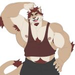  2023 abs anthro arm_over_head arm_tuft armpit_hair biceps black_bottomwear black_clothing black_pants body_hair bottomwear claws clothing deltoids elbow_tuft facial_hair felid finger_claws flexor_carpi fur goatee hair hand_on_hip hi_res lion looking_at_viewer male mammal muscular muscular_anthro muscular_male nipples open_mouth pantherine pants pecs pubes red_clothing red_eyes red_hair red_shirt red_tank_top red_topwear revelion revelion_(character) shirt simple_background smile solo tail tail_tuft tan_body tan_fur tank_top topwear tuft white_background 