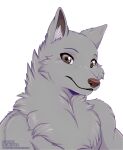  alpha_channel anthro brown_eyes canid canine canis fluffy fur grey_body grey_fur mammal rukifox simple_background solo transparent_background wolf 