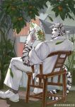  1boy absurdres animal_print arknights bara chair chinese_commentary falling_leaves fang folding_fan food fruit furry furry_male hand_fan highres holding holding_fan leaf looking_at_viewer male_focus mountain_(arknights) multiple_scars ponytail scar scar_across_eye scar_on_arm sitting solo tail tiger_boy tiger_print tiger_tail weibo_logo weibo_username wooden_chair yingou_li_de_wenyi_zhi_yuan 