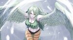  1girl bare_shoulders bird_tail breasts cleavage clothes_writing commentary crop_top english_commentary feathered_wings feathers green_hair harpy highres large_breasts long_hair looking_at_viewer midriff monet_(one_piece) monster_girl navel one_piece pantyhose smile snow solo striped striped_pantyhose tail tail_feathers taku_(user_fhus8258) tank_top tongue tongue_out winged_arms wings yellow_eyes 