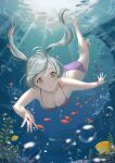  1girl alternate_costume bikini breasts brown_eyes bubble cleavage fire_emblem fire_emblem_awakening fish highres holding_breath long_hair medium_breasts niko_(aiai03012) purple_bikini robin_(female)_(fire_emblem) robin_(fire_emblem) snk_anm solo submerged sunlight swimming swimsuit twintails underwater water white_hair 