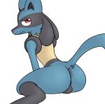 alpha_channel anthro balls butt generation_4_pokemon genitals hi_res looking_back lucario male nintendo perineum pokemon pokemon_(species) presenting presenting_hindquarters raised_tail simple_background solo starry5643 tail transparent_background 