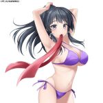  1girl bare_shoulders bikini black_hair blush bow breasts cleavage closed_mouth collarbone hair_bow high_ponytail isekai_wa_smartphone_to_tomo_ni. kokonoe_yae large_breasts long_hair looking_at_viewer navel red_bow ribbon simple_background solo swimsuit thighhighs very_long_hair white_background 