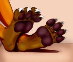  absurd_res anthro brown canid canine canis character_jayden claws domestic_dog feet fox fur hi_res male mammal muffinvinvin orange_body orange_fur pads_(disambiguation) paws soles solo toes wolf 