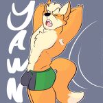  anthro bulge canid canine clothed clothing digital_media_(artwork) fizzyjay fox fox_mccloud fur hi_res male mammal muscular muscular_male nintendo simple_background solo star_fox topless underwear underwear_only 