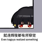  1girl bilingual black_eyes chinese_text english_text engrish_text houraisan_kaguya jokanhiyou lowres mixed-language_text ranguage red_eyes simplified_chinese_text solo touhou translation_request 