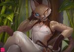  absurd_res anthro areola bamboo bamboo_forest clothed clothing countershade_torso countershading fauxminx felid forest heterochromia hi_res male mammal nipples plant solo tail tree whiskers 