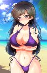  1girl ahoge averting_eyes beach bikini black_eyes black_hair blue_sky blush breast_hold breasts cleavage closed_mouth cloud cloudy_sky commentary_request cowboy_shot day frown girls_und_panzer halterneck highleg highleg_bikini highres horizon isuzu_hana kumaisao large_breasts long_hair navel ocean outdoors palm_tree partial_commentary purple_bikini side-tie_bikini_bottom sky solo standing sweatdrop swimsuit tree 