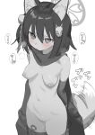  1girl animal_ear_fluff animal_ears arms_behind_back blue_archive blush breasts cowboy_shot fox_ears fox_girl fox_tail greyscale hair_between_eyes hair_ornament halo highres izuna_(blue_archive) monochrome navel nipples nude pom_pom_(clothes) pom_pom_hair_ornament scarf shamonabe simple_background small_breasts solo tail thighhighs white_background 