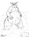  2019 anthro belly big_belly common_hippopotamus dreamworks female gloria_the_hippopotamus half-closed_eyes hand_on_stomach hi_res hippopotamid looking_at_viewer madagascar_(series) mammal marcushunter narrowed_eyes navel nude obese obese_anthro obese_female overweight overweight_anthro overweight_female partially_submerged rock signature smile smiling_at_viewer solo standing water wet wet_body 