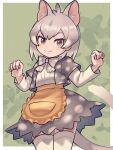  1girl ananna0031 animal_ears apron blush bow bowtie eastern_quoll_(kemono_friends) extra_ears frilled_apron frills grey_bow grey_bowtie grey_hair grey_jacket grey_skirt hair_between_eyes high-waist_skirt highres jacket kemono_friends long_sleeves multicolored_hair open_clothes open_jacket polka_dot polka_dot_bowtie polka_dot_jacket polka_dot_skirt shirt short_hair short_sleeves sidelocks skirt smile solo tail thighhighs white_hair white_shirt white_thighhighs yellow_apron yellow_eyes zettai_ryouiki 