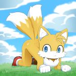  all_fours anthro biped blue_eyes canid canine clothing cloud detailed_background footwear fox frown fur gloves grass handwear hi_res male mammal miles_prower plant sega shoes solo sonic_the_hedgehog_(series) sum white_body white_fur yellow_body yellow_fur 