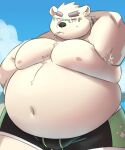  2023 anthro armpit_hair bear belly big_belly black_nose body_hair bottomwear bulge clothing cloud eyewear glasses hi_res kemono leib_(tas) lifewonders male mammal moobs navel nipples norsu327 outside overweight overweight_anthro overweight_male polar_bear shorts smoking solo swimming_trunks swimwear tokyo_afterschool_summoners ursine 