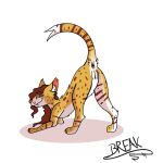  break_(disambiguation) colored felid feline female feral genitals hi_res mammal piercing presenting serval shaded solo 