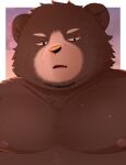  2023 absurd_res anthro bear beard belly brown_body brown_fur facial_hair fur hi_res kemono male mammal moobs nipples overweight overweight_male portrait solo trail_arnak 