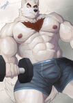  2023 abs anthro athletic biceps big_arms big_biceps big_muscles black_nose bodily_fluids body_hair body_tuft bottomwear brown_hair bulge canid canine canis chest_hair chest_tuft clothed clothing domestic_dog dumbbell exercise eyebrows facial_tuft fur hair head_tuft hi_res holding_object looking_at_viewer male mammal muscular muscular_anthro muscular_male muscular_thighs nipples number pecs pubes serratus shizumei_608 shorts side_eye solo sweat sweatdrop tail tail_tuft topless tuft underwear upward_angle username wall_(structure) watermark weights white_body white_fur white_wall wolf workout 