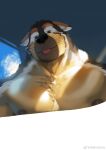  1boy :p animal_ear_fluff animal_ears bara black_fur boogbogex brown_eyes brown_fur chest_hair crack_of_light dog_boy dog_ears ears_down furry furry_male haki_(boogbogex) half-closed_eyes highres large_pectorals looking_at_viewer male_focus muscular muscular_male nipples nude orange_fur original pectorals short_hair solo thick_eyebrows tongue tongue_out upper_body whiskers white_fur 