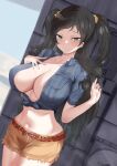  1girl areola_slip black_hair blush breasts brown_shorts cleavage collarbone cropped_shirt everchix grey_shirt highres idolmaster idolmaster_cinderella_girls large_areolae large_breasts looking_at_viewer navel no_bra nonomura_sora outdoors shirt shorts solo sweatdrop tied_shirt two_side_up 