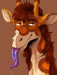  3:4 absurd_res anthro bodily_fluids brown_background brown_hair brown_markings closed_smile giraffe giraffid hair hi_res imperatorcaesar long_neck long_tongue looking_at_viewer male mammal markings mouth_closed narrowed_eyes orange_markings purple_tongue saliva saliva_on_tongue simple_background smile solo tan_body tongue tongue_out 