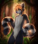  ambiguous_gender anthro backlighting blonde_hair blue_body blue_eyes blue_fur blue_nose blurred_background braided_hair branch cheek_tuft claws digitigrade facial_tuft fingers fluffy fluffy_tail forest fur green_eyes grey_body grey_fur hair hi_res holding_tail holding_tail_up leaf lemur lemurian light lighting long_tail magenta7 mammal markings multicolored_body multicolored_ears multicolored_eyes multicolored_fur multicolored_hair multicolored_tail navel nova_(fantomnova) orange_hair outside paws plant primate red_hair ring-tailed_lemur ring_(marking) ringtail smile smiling_at_viewer solo solo_focus spots spotted_body spotted_fur spotted_markings strawberry_blond strawberry_blonde strawberry_blonde_hair strepsirrhine striped_body striped_fur striped_markings striped_tail stripes sunlight tail tail_markings tree tuft vignette white_body white_fur 