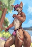  anthro brown_body brown_fur bulge canid canine clothed clothing fennec fox fur hair hi_res jockstrap jockstrap_only juiceps male mammal pawpads purple_eyes purple_hair solo tail topless underwear underwear_only 