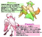  +_+ 2girls ahoge bachikin_(kingyo155) bird_legs bird_tail blush claws commentary_request feathered_wings feathers food-themed_creature gradient_hair gradient_wings green_feathers green_hair hair_between_eyes hair_over_one_eye harpy highres melon_(bachikin) monster_girl multicolored_hair multicolored_wings multiple_girls neck_fur open_mouth orange_eyes orange_feathers original peach_(bachikin) pink_eyes pink_feathers pink_hair pink_wings short_hair simple_background tail tail_feathers talons translation_request white_background white_feathers white_hair white_wings winged_arms wings 