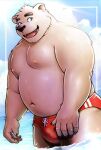  2023 anthro bear belly black_nose bulge clothing cloud humanoid_hands kemokemumaki kemono male mammal moobs navel nipples overweight overweight_male polar_bear solo sun swimwear ursine white_body 