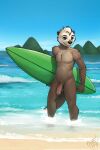  2018 anthro balls blue_eyes brown_body brown_fur day detailed_background flaccid foreskin fur genitals hair hi_res humanoid_genitalia humanoid_penis kumotta male mammal mustelid nude otter outside partially_submerged penis sea sea_otter signature sky standing surfboard water white_hair 