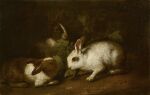 17th_century absurd_res ambiguous_gender ancient_art brown_background brown_body brown_fur eating eating_food feral fur group hi_res lagomorph leaf leporid long_ears mammal multicolored_body multicolored_fur painting_(artwork) paws prick_ears quadruped rabbit red_eyes simple_background snout traditional_media_(artwork) trio two_tone_body two_tone_fur unknown_artist white_body white_fur 
