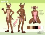 2018 anthro antlers balls barbell_piercing chastity_cage chastity_device deer ear_piercing ear_ring english_text erection genitals glans horn humanoid_genitalia humanoid_penis kneeling male mammal model_sheet multiple_poses nareth_(character) nipples nude penis piercing plantigrade pose ring_piercing shaved simple_background solo standing text vallhund 