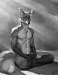 abs closed_eyes full_body furry furry_male greyscale highres honovyart jewelry light_rays male_focus meditation monochrome necklace nipples nude original own_hands_together sitting solo tail 