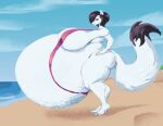  2019 anthro arctic_fox beach big_breasts big_butt bikini black_hair blue_eyes breasts butt canid canine clothing digital_media_(artwork) female fox fur hair huge_belly huge_breasts mammal nicole_(satsumalord) ragewerewolf seaside sky sling_bikini solo swimwear thick_thighs water white_body white_fur 