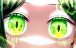  1girl cherrycat chromatic_aberration close-up commentary_request eye_focus eyelashes green_eyes green_hair highres light_particles looking_at_viewer oshi_no_ko shiranui_frill solo sparkle 
