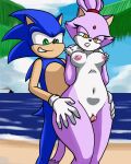  animated anthro blaze_the_cat breasts clitoral clitoris clothing duo erection eulipotyphlan felid feline female fur genitals gloves handwear hedgehog male male/female mammal nipples nude oni_senpai_art penis pussy sega sex smile sonic_the_hedgehog sonic_the_hedgehog_(series) thigh_sex 