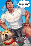  1boy animal_collar arm_hair bara black_shorts blue_sky brown_hair bulge collar covered_nipples dog english_text facial_hair highres leash looking_down male_focus muscular muscular_male open_mouth original pectorals shiba_inu shirt shoes short_hair shorts sideburns sky sneakers solo speech_bubble squatting steam steaming_body stick suamaru sweat thick_eyebrows thick_thighs thighs wet wet_clothes wet_shirt 