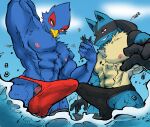  abs aircraft airplane ambiguous_gender anthro avian beak blue_body bulge canid canine clothed clothing destruction detailed_bulge duo erection erection_under_clothing falco_lombardi frottage generation_4_pokemon genital_outline genitals hi_res jet kissing lucario macro male mammal nintendo nipples non-mammal_nipples pecs penis penis_kissing pokemon pokemon_(species) ryeono_kemo sea sex ship speedo spines star_fox swimwear tenting vehicle water watercraft 
