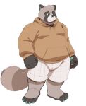  2023 anthro apricotsammi bottomwear canid canine clothing facial_piercing hi_res hoodie humanoid_hands male mammal nose_piercing nose_ring overweight overweight_male piercing raccoon_dog ring_piercing shorts simple_background solo tanuki topwear 
