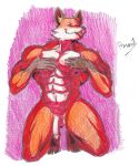  abs absurd_res anthro balls barazoku canid canine canis epic_games fennix_(fortnite) foreskin fortnite fox fur genitals hi_res huge_filesize male male/male mammal multicolored_body multicolored_fur muscular muscular_anthro muscular_male nipples nude orange_body orange_fur pecs penis pinumontbalou solo tongue tongue_out traditional_media_(artwork) 