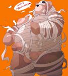  2023 anthro balls bear belly big_belly brown_body dialogue dumdum english_text genitals halloween halloween_costume hi_res holidays kemono male mammal moobs mummy_costume nipples orange_background overweight overweight_male penis simple_background solo text 