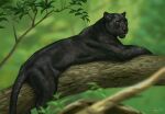  felid female feral lying mammal on_front pantherine plant realistic_feral reallynxgirl solo tree 