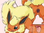  4:3 aka_leopard animal_genitalia animal_pussy anus blush bodily_fluids canine_genitalia canine_pussy censored eeveelution female flareon fur generation_1_pokemon genitals hi_res nintendo pokemon pokemon_(species) pussy solo sweat tongue tongue_out 