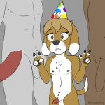  absurd_res animal_genitalia animal_penis anthro beagle big_dom_small_sub birthday birthday_hat bodily_fluids canid canine canine_genitalia canine_penis canis clothing doggie_(shleepdog) domestic_dog dominant dripping female floppy_ears fluffy gangbang genital_fluids genitals group group_sex hat headgear headwear hi_res hunting_dog knot male male/male mammal muscular muscular_male party_hat penis precum precum_drip scent_hound sex shleepdog size_difference smaller_female taller_male 